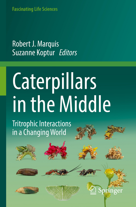 Caterpillars in the Middle - 