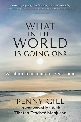 What in the World is Going On? - Penny Gill