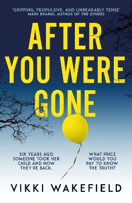 After You Were Gone - Vikki Wakefield