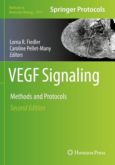 VEGF Signaling - 