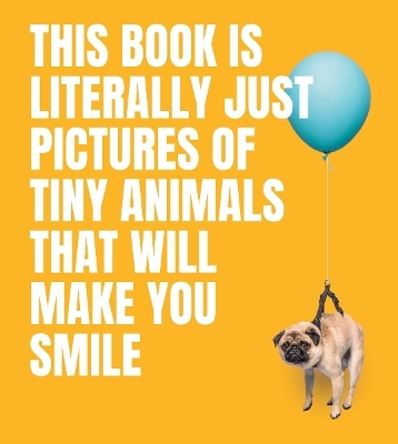 This Book Is Literally Just Pictures of Tiny Animals That Will Make You Smile -  Smith Street Books