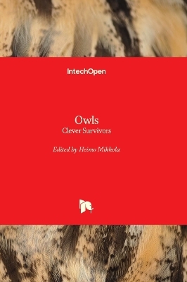 Owls - 