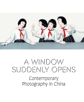 A Window Suddenly Opens - 