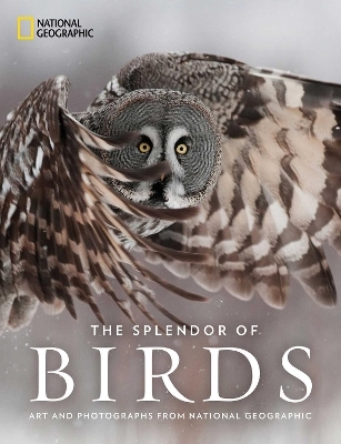 The Splendor of Birds -  National Geographic