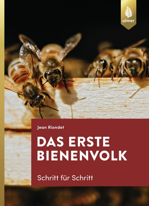 Das erste Bienenvolk - Schritt für Schritt - Jean Riondet