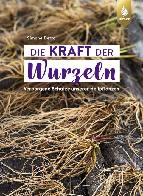 Die Kraft der Wurzeln - Simone Detto