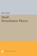 Small Perturbation Theory - William Rees Sears