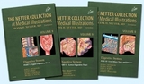 The Netter Collection of Medical Illustrations: Digestive System Package - Reynolds, James C.