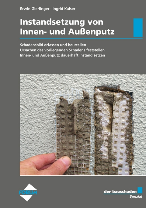 der bauschaden Spezial Instandsetzung von Innen- und Außenputz - Erwin Gierlinger, Ingrid Kaiser