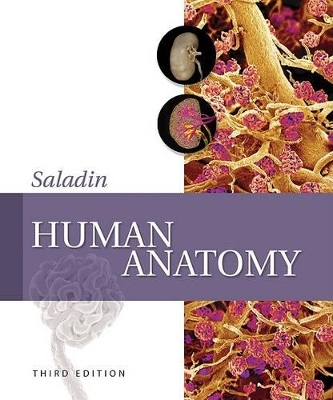 Human Anatomy - Kenneth S Saladin