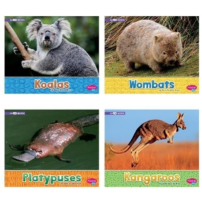 Australian Animals - Sara Louise Kras