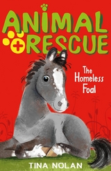 The Homeless Foal - Tina Nolan