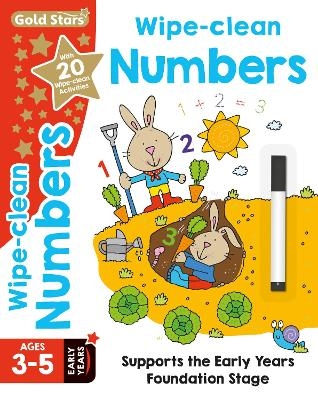 Gold Stars Wipe-Clean Numbers Ages 3-5 Early Years - Frances Mackay