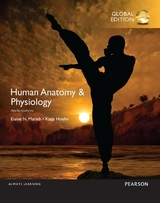 Human Anatomy & Physiology, Global Edition - Marieb, Elaine; Pearson Education; Hoehn, Katja; Hutchinson, Matt; Mallatt, Jon