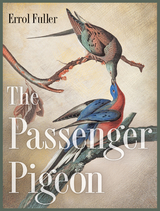 The Passenger Pigeon - Errol Fuller