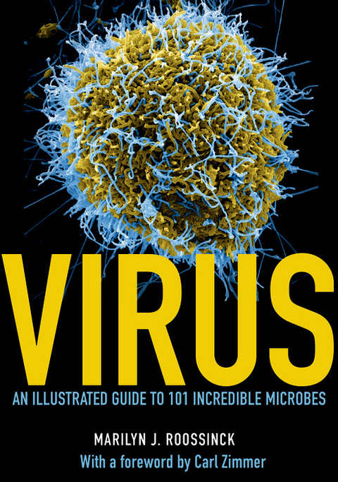 Virus -  Marilyn J. Roossinck