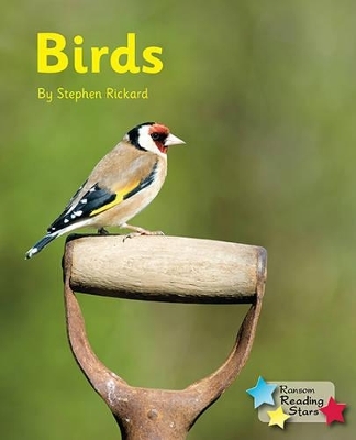 Birds 6-Pack -  Rickard Stephen