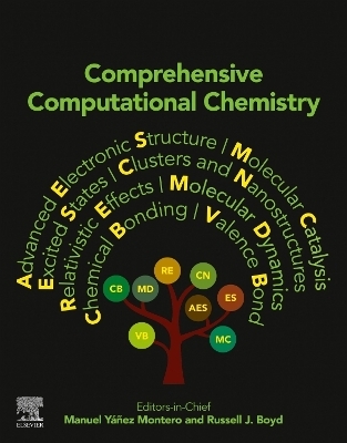 Comprehensive Computational Chemistry