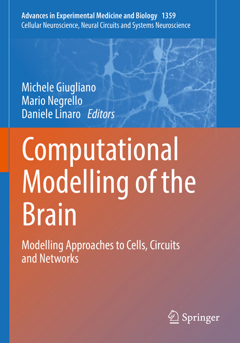 Computational Modelling of the Brain - 