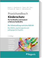 Praxishandbuch Kinderschutz für Fachkräfte und insoweit erfahrene Fachkräfte - Dexheimer, Andreas; Fegert, Jörg. M.; Macsenaere, Michael