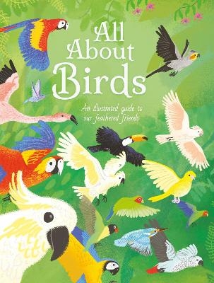 All About Birds - Polly Cheeseman