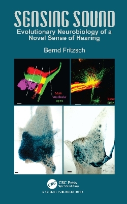 Sensing Sound - Bernd Fritzsch