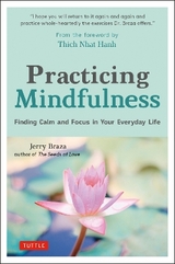 Practicing Mindfulness - Braza, Jerry