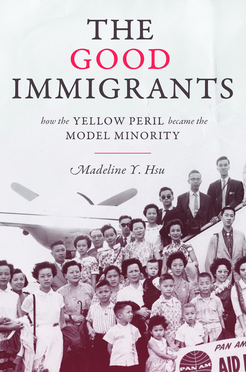 Good Immigrants -  Madeline Y. Hsu