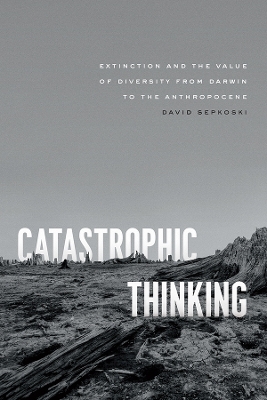 Catastrophic Thinking - David Sepkoski