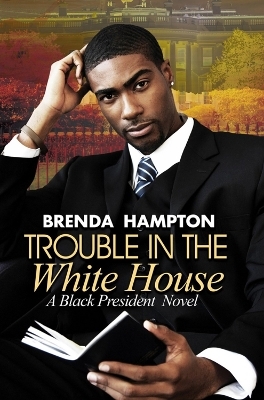 Trouble in the White House - Brenda Hampton