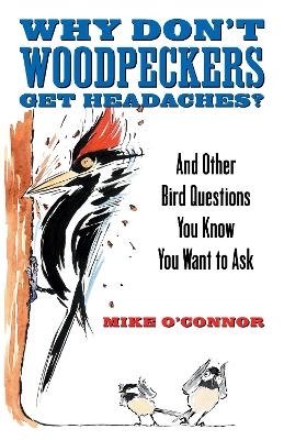 Why Don't Woodpeckers Get Headaches? - Mike O'Connor