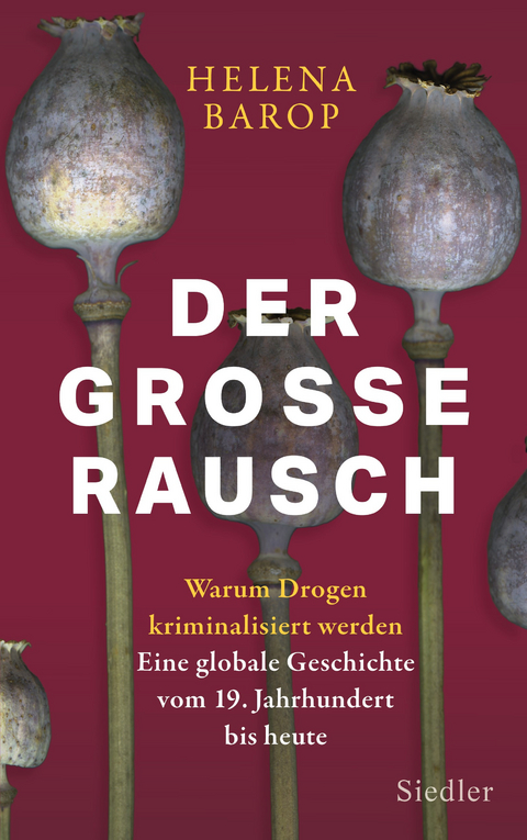 Der große Rausch - Helena Barop