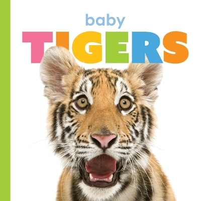 Baby Tigers - Kate Riggs