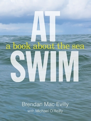 At Swim - Brendan Mac Evilly, Michael O'Reilly