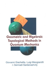 Geometric And Algebraic Topological Methods In Quantum Mechanics - Luigi Mangiarotti, Gennadi A Sardanashvily, Giovanni Giachetta