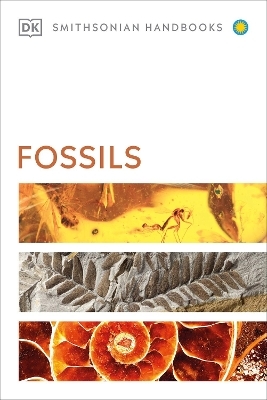 Fossils -  Dk