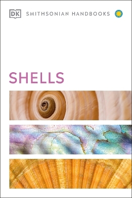 Shells -  Dk