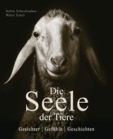 Die Seele der Tiere. Gesichter. Gefühle. Geschichten - Sabine Remy-Schwabenthan