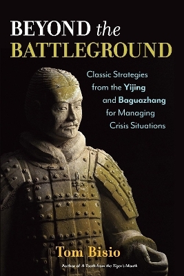 Beyond the Battleground - Tom Bisio