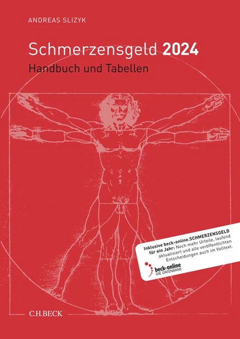 Schmerzensgeld 2024 - Andreas Slizyk