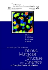 INTRINSIC MULTISCALE STRUCTURE & DYNAM.. - 