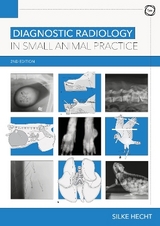 Diagnostic Radiology in Small Animal Practice 2nd Edition - Silke Hecht