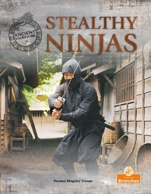 Stealthy Ninjas - Thomas Kingsley Troupe