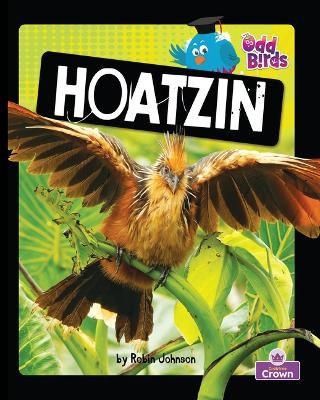 Hoatzin - Robin Johnson