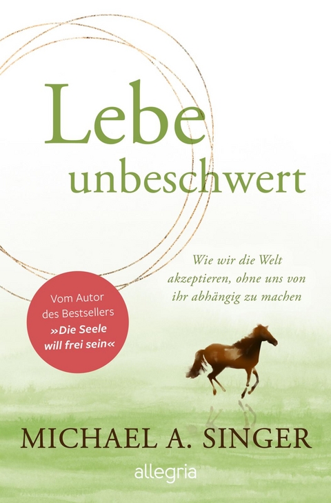 Lebe unbeschwert - Michael A. Singer