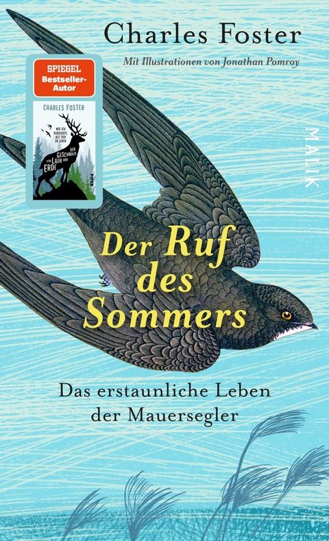 Der Ruf des Sommers - Charles Foster