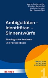 Ambiguitäten, Identitäten, Sinnentwürfe - 