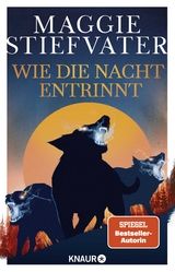 Wie die Nacht entrinnt - Stiefvater, Maggie