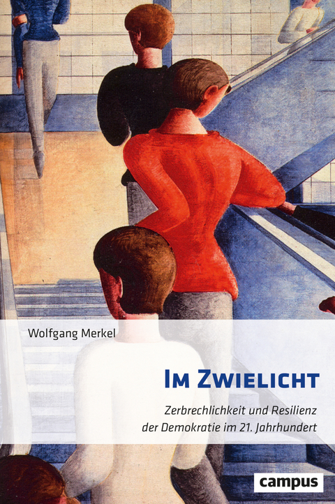 Im Zwielicht - Wolfgang Merkel