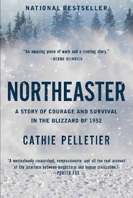 Northeaster - Cathie Pelletier